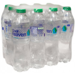 AGUA NATURAL 12 X 500ML